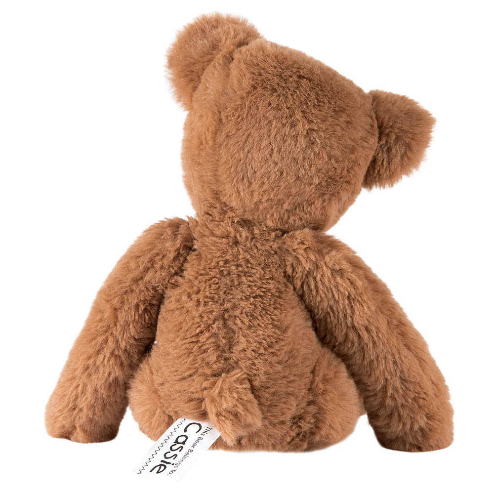 Buddy Bear Bundle - Image 6